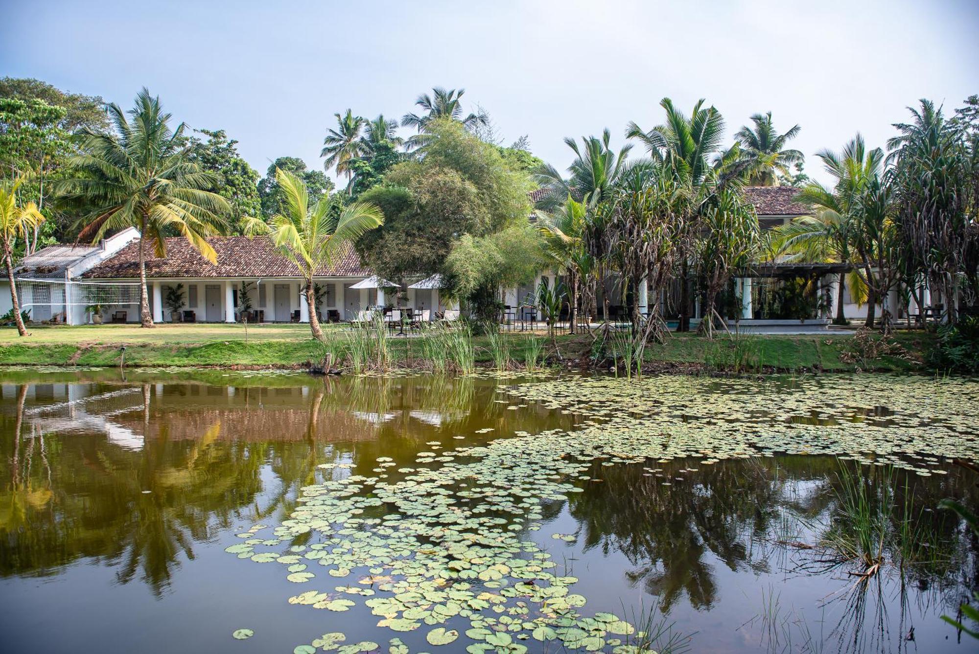 Bed and Breakfast Good Story At Nirbana Island Ahangama Exterior foto